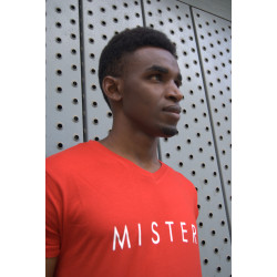 Camiseta básica Mister